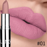 SHEIN Matte Long-lasting Velvet Lipstick