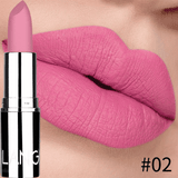 SHEIN Matte Long-lasting Velvet Lipstick