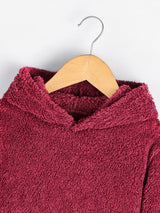 SHEIN Toddler Boys Two Tone Teddy Hoodie