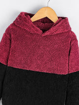 SHEIN Toddler Boys Two Tone Teddy Hoodie