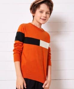 SHEIN Boys Contrast Panel Sweater