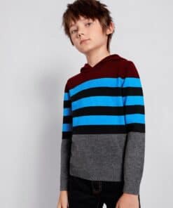 SHEIN Boys Striped Colorblock Hooded Sweater