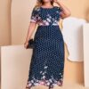 SHEIN Plus Polka Dot & Floral Print Dress