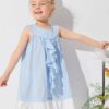 SHEIN Toddler Girls Ruffle Trim Smock Dress