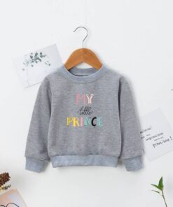 SHEIN Toddler Boys Slogan Graphic Round Neck Sweatshirt