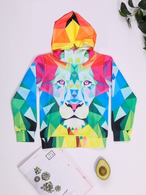 SHEIN Boys Geo And Lion Print Color Block Hoodie