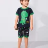 Shein Toddler Boys Dinosaur Graphic Tee & Shorts
