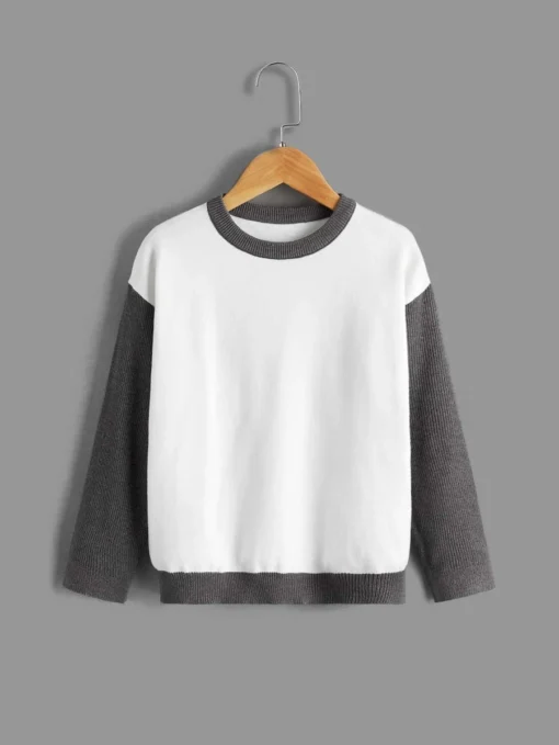 Shein Boys Color Block Drop Shoulder Sweater