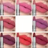 SHEIN Matte Long-lasting Velvet Lipstick, Easy To Apply Lipstick