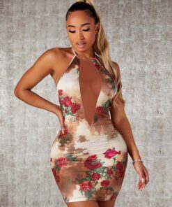 SHEIN SXY Floral Print Contrast Mesh Tie Backless Bodycon Dress