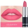 shein Matte Mist Permanent Moisturizing Lipstick Velvet Moisturizing Matte Lipstick Net Content 3.5g