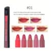 SHEIN Matte 5-Color Lipstick Kit,Mist Velvet Highly Pigmented Non-Stick