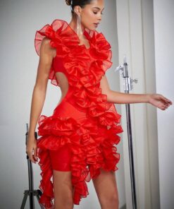 SHEIN L'Amorae Ruffle Asymmetrical Hem Cut Out Dress