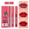 Matte Liquid Lipstick Set, 3Pcs Mist Non-Stick Cup Moisturizing