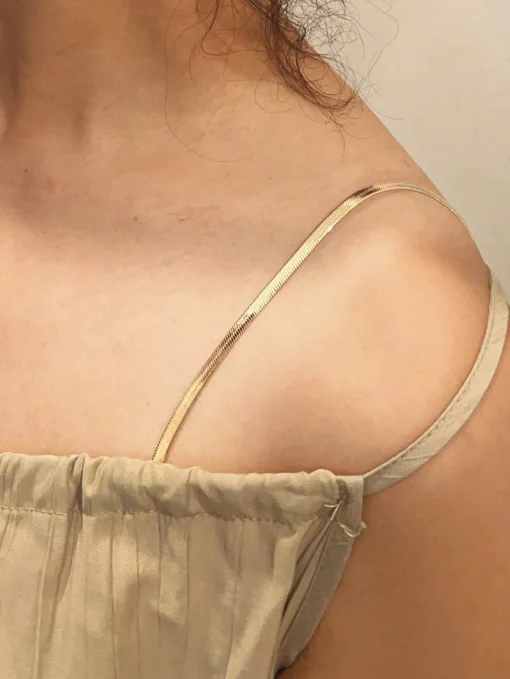 SHEIN 1 Pair Decorative Bra Straps Snake Bone Chain Replacement Fancy For Women Anti-Slip Bra Strap