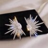 SHEIN 1pair Sparkling Wing - Shaped Earrings Full Of Rhinestone