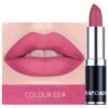 SHEIN HANDAIYAN Matte Mist Permanent Moisturizing Lipstick Velvet