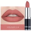 SHEIN HANDAIYAN Matte Mist Permanent Moisturizing Lipstick Velvet