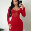 SHEIN SXY Sexy Mesh Contrast See-Through Long Sleeve Bodycon Dress