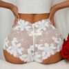 SHEIN 1pc Sexy Lace Ladies Breathable Simple Romantic Women's Briefs