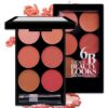 SHEIN 6-color Matte Blush Palette With Brush