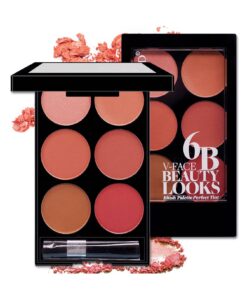 SHEIN 6-color Matte Blush Palette With Brush