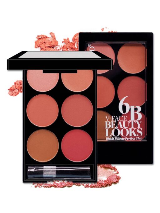SHEIN 6-color Matte Blush Palette With Brush