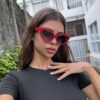SHEIN Triangle Cat Eye Fashion Glasses For Women, Retro Stylish Small Frame Glasses